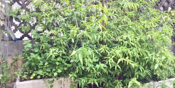 Nhà đẹp,gần phố,ở luôn trung tâm Đống Đa,DT 55m,MT 3.7m,5.95 tỷ.