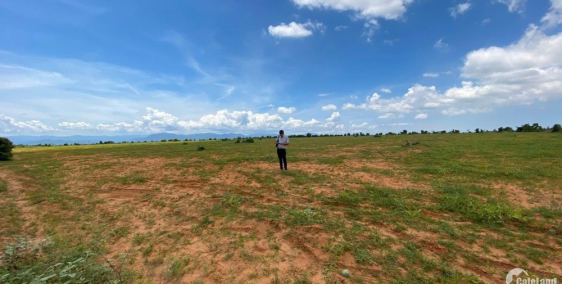 Chính chủ cần bán vừa điều, cách biển 2km, SHR