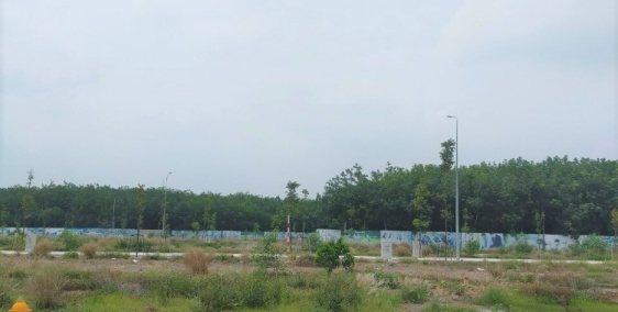 Do vỡ nợ nên tôi cần bán gấp đất thổ cư 100% dt 80m2, sổ hồng riêng