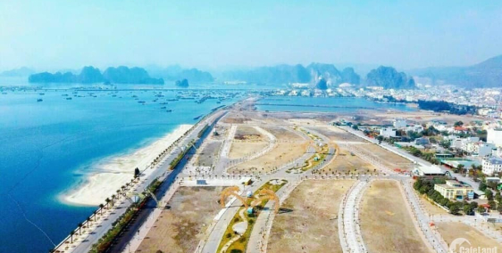 Dự án Green Dragon City ven biển Cẩm Phả