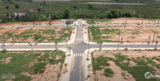 Dự án đất nền nổi bật về khả năng thanh khoản pháp lý rõ ràng An Phước Riverside