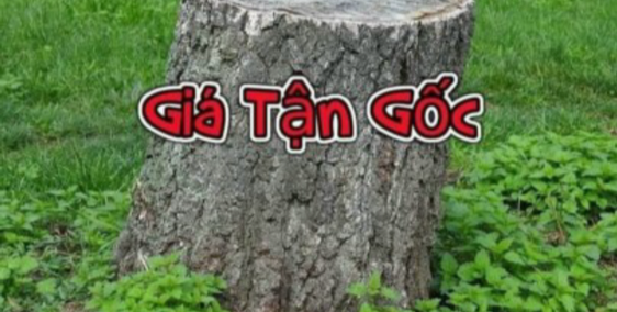 Còn duy nhất nền đẹp hướng Đ-N đối diện khu công viên