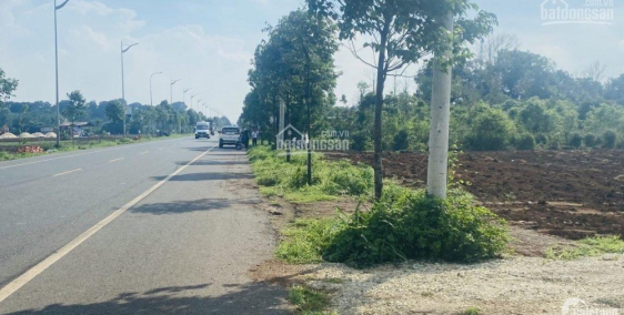 Tôi có miếng đất mặt tiền đường 30m,cần bán nhanh trong tuần này,lh chính chủ