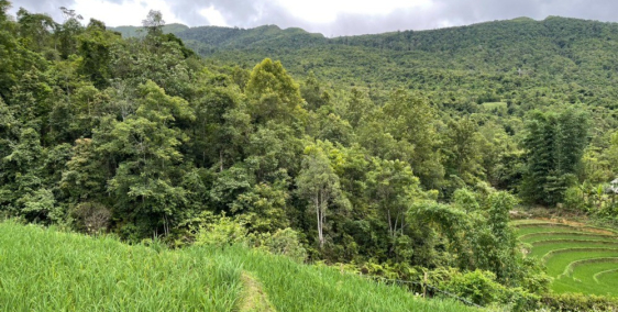 Bán đất Y Tý, Bát Xát, Lào Cai đầu tư sinh lời cao