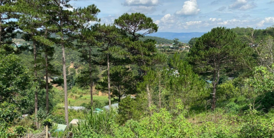 Bán lô đất đường 3 tháng 4 view rừng thông nguyên sinh thành phố Đà Lạt