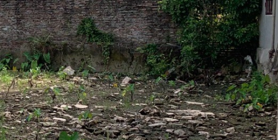 Bán 75m2 ngay trung tâm Thị Trấn Phùng- Đan Phượng. Giá 2.587 tỷ