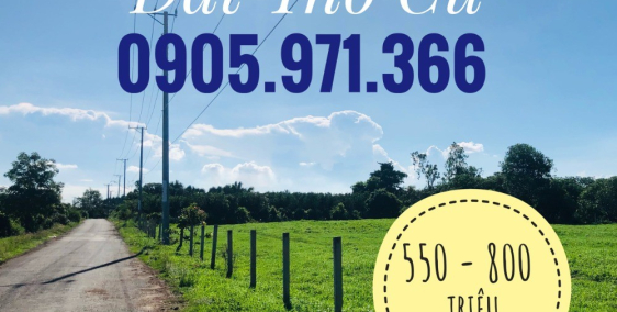 Bán đất diện tích 150m2 giá 600 triệu tại Xã Láng Dài, thị trấn Đất Đỏ, BR-VT