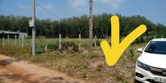 Đất Minh Hòa Dầu Tiếng Bán giá Cực Êm Trong Mùa Dịch