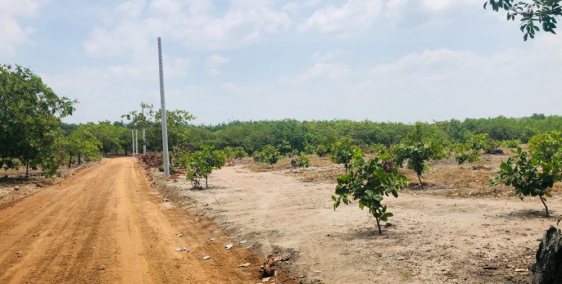 Đất Bình Dương giá rẻ chỉ có 500tr 1000m2 sổ hồng riêng