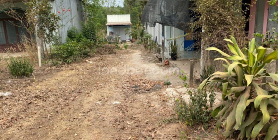 Mặt tiền DT749D Xã Thanh Tuyền cần bán gấp mong gặp anh chị em thiện chí