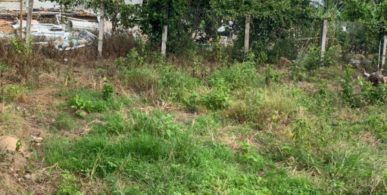 Chủ cần bán gấp lô đất đẹp nhất gần trung tâm hành chính cách tỉnh lộ 2 150m.