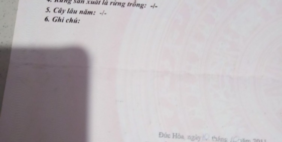 Gấp bán đất ngột có nhà nát cách chợ mỹ hạnh nam 1km  huyện đức hòa long an