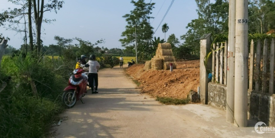 Chính chủ cần bán đất giáp ranh Hòa Tiến, thuộc Điện Tiến, mặt đường rộng