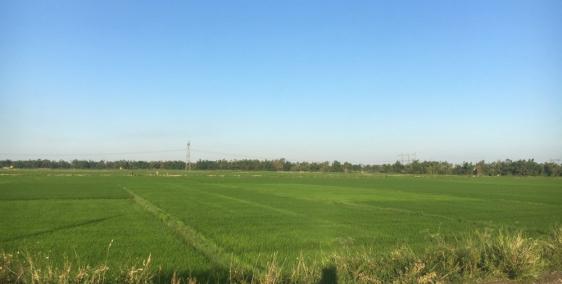 Chính chủ bán gấp lô đất góc 2 mặt tiền rộng, gần chợ Lệ Trạch, sẵn sổ đỏ