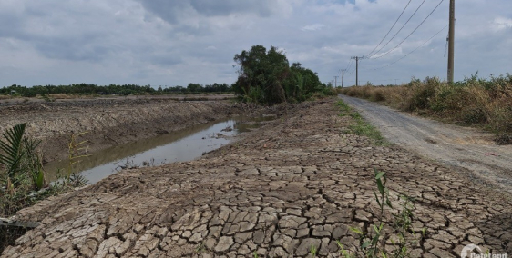 Bán đất xã lý nhơn, đường lý nhơn huyện cần giờ, TP: DT:1147m², giá 1 tỷ 650 tri