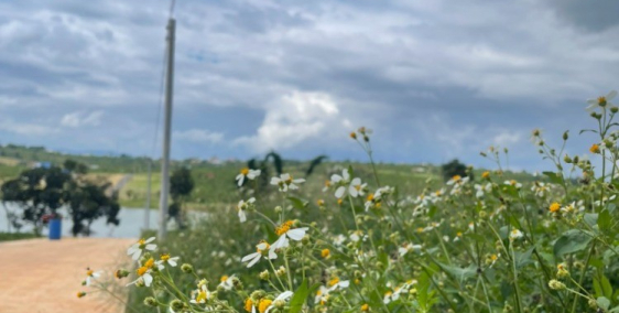 Đất view hồ Phúc Thọ. Thoáng mát