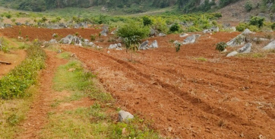 Bán nhanh lô 6000M2 – Đông Sang, Mộc Châu, Sơn La GIÁ SIÊU XINH