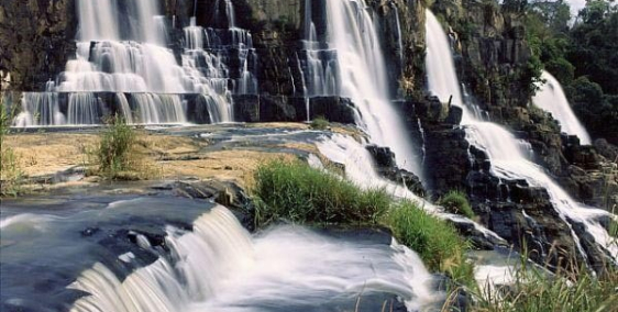 Bán Gấp Lô Đất Khu Nghỉ Dưỡng ĐAMBRI ĐÀ LẠT