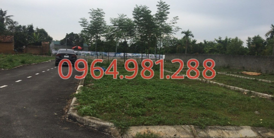 Bán gấp lô đất lấy tiền kinh doanh - Lô góc 2 mặt tiền - Gần TL420 đang mở rộng.