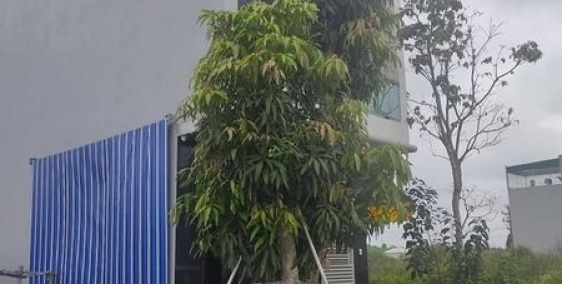 Bán đất khu VIP trung tâm thành phố Thanh Hóa giá hạt rẻ