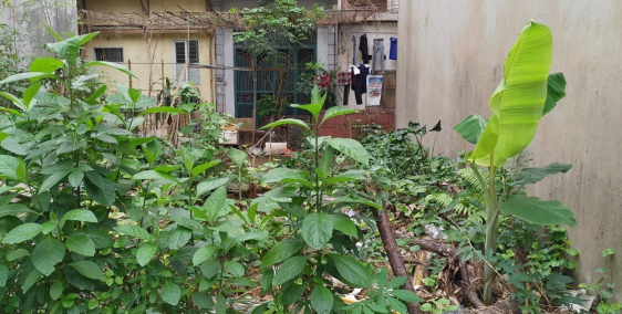 Bán đất phường Cầu Diễn, phân lô đẹp, ôtô gần, an sinh đỉnh 57m2 giá tốt 4.2 tỷ.