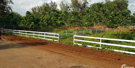 Bán đất sào chính chủ,có sổ sẵn dt 1100m2 giá 1tyxx thương lượng