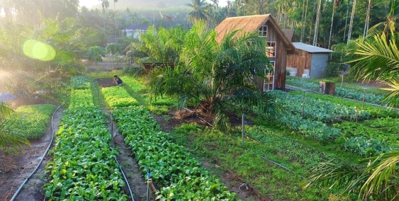 Bán đất Bình Long giá rẻ, đông dân cư, gần KCN, 1000m2, 2000m2