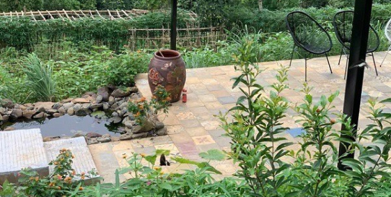 Bán đất Bình Phước giá rẻ, view sông, điện nước đầy đủ