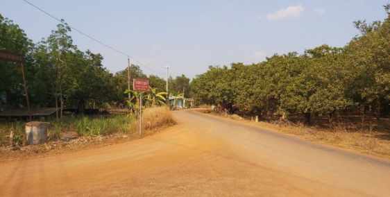 Bán đất Ngộp giá Siêu Rẻ tại Bình Phước, mặt tiền lớn, có điện, có dân