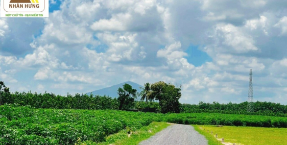 Đất view núi Bà Đen,đầu tư sinh lời, giá thật sổ thật, công chứng liền