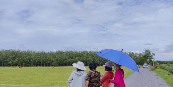 Chính chủ cần bán 1000m2 đất đầu tư Tây Ninh đất thật, sổ thật chỉ hơn 300triệu