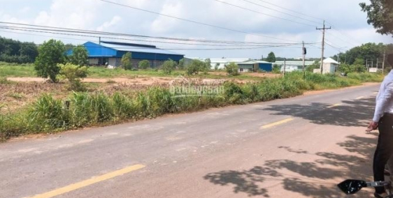 BÁN TRẠI GÀ HƠN 1 MẪU ĐẤT CÓ SHR, ĐẤT BẰNG PHẲNG VUÔNG VỨC PHÙ HỢP LÀM TRANG TRẠ