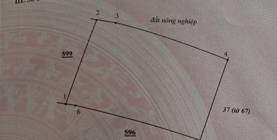 Bán đất Hàm Đức 400 Triệu 1000m2. Ô tô tận nơi