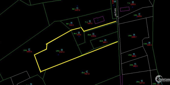 Bán đất mặt tiền đường Rạch Lá, An Thới Đông, Cần Giờ, Tp Hcm
