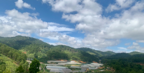 Bán vườn tại đạ sar lạc dương lâm đồng