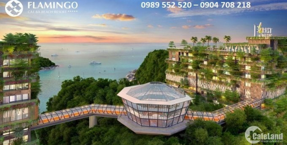 Phân phối căn hộ năm sao Flamingo Cát Bà trực tiếp giá CĐT, khách mua nhận nhà v
