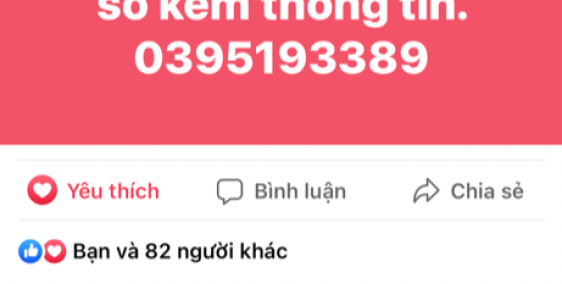 Nhà phố, biệt thự liền kề cao cấp