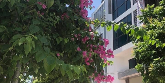 Chính Chủ Cần Bán Nhà Liền Kề La Khê Lê Trọng Tấn Hà Đông, 50m2, Thông Sàn