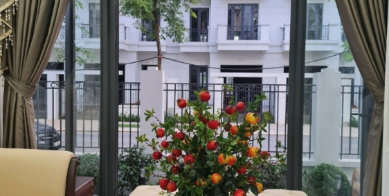 Time Garden Vĩnh Yên Khu đô thị đẳng cấp bậc nhất thành phố