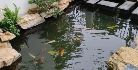 Time Garden khu đô thị sống đẳng cấp và thượng lưu