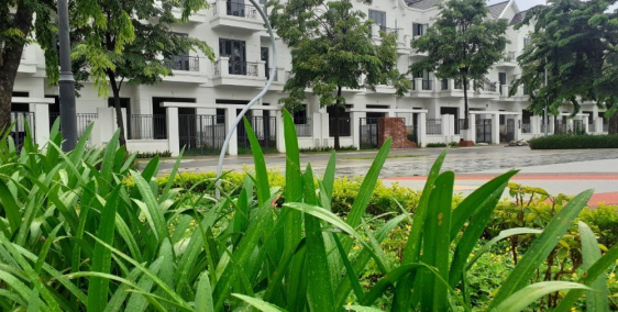 Cần bán lô ngoại giao view công viên tại dự án Times Garden Vĩnh Yên