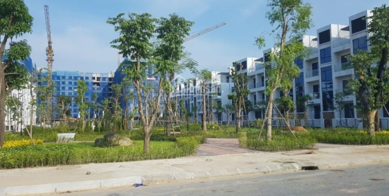 Biệt thự liền kề viglacera Yên Phong Bắc Ninh