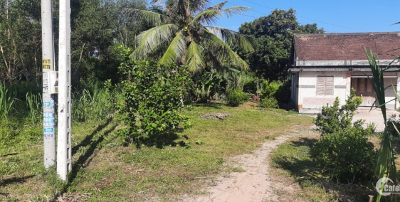 Đất mặt tiền đường nhựa thích hợp cho xây trọ gần KCN Phước Đông, Gò Dầu.