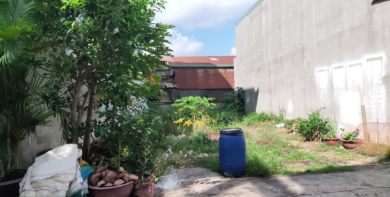 Chính chủ cần bán gắp nền đất Tân Tạo Bình Tân, Sổ Hồng Riêng