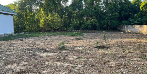 Siêu đầu tư lô đất 805m2 giá bán hơn 2tr/1m2 Tại Xuân Khanh Sơn Tây Hà Nội