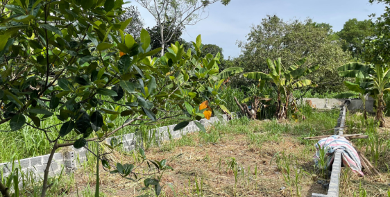 Lô đất chào bán với giá 4,1tr/1m2 139.1m2 Xuân Khanh Sơn Tây Hà Nội LH:058622999