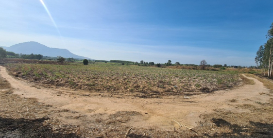 Bán Đất Mặt Tiền 555 triệu, 33x150m,  KP 7,  Tân Nghĩa, Hàm Tân, Bình Thuận