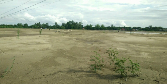 DỰ ÁN KHU DÂN CƯ VÀ CHỢ AN LONG - CÁCH THÀNH PHỐ LONG XUYÊN 5KM