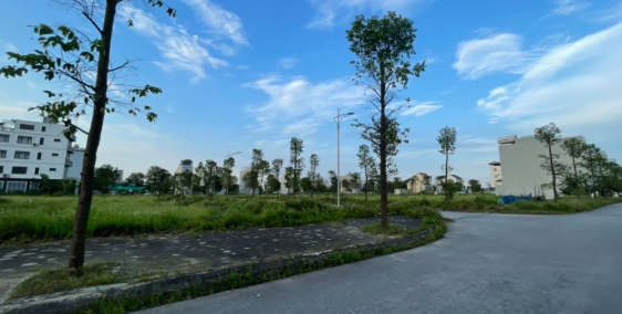 Bán gấp 2 lô đất biệt thự dt 220m2 hồ b2.1 bt2-9,10 thanh hà cienco giá đầu tư