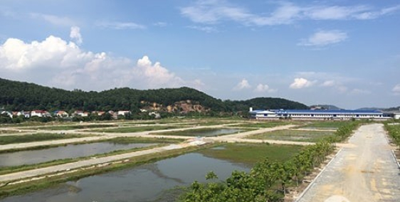 DỰ ÁN PHÚ THỨ WONDER SONG - KĐT Sinh Thái Mới tại Kinh Môn